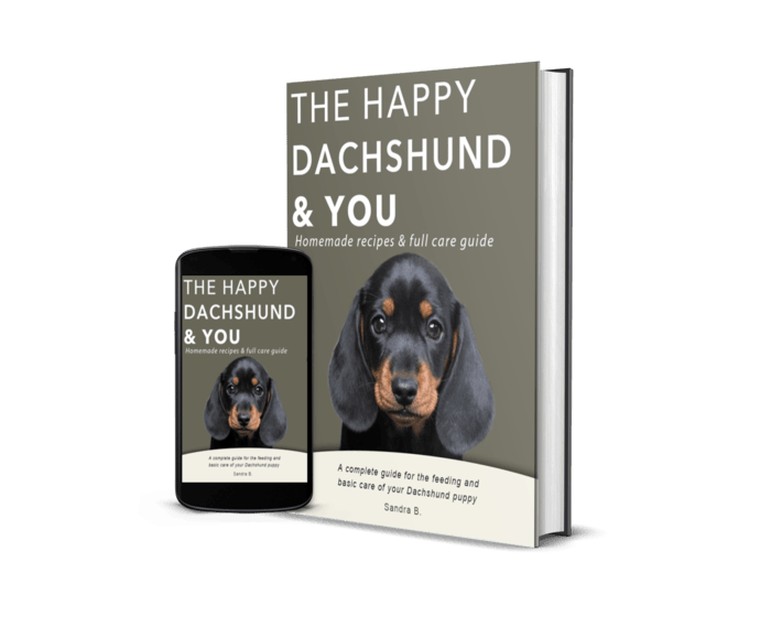 The Happy Dachshund & You Book Cover