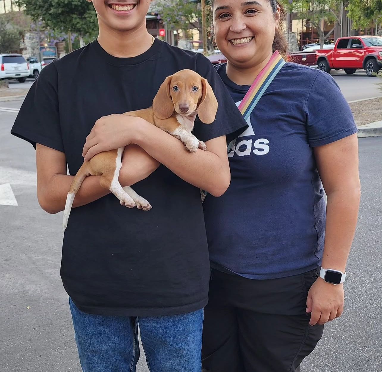 David Chen with their LongwoodLane Dachshund